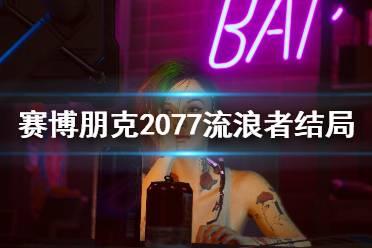 流浪者最新爆料视频大全,揭秘幕后真相与感人瞬间