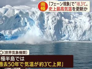 南极最新爆料新闻视频,揭秘未知的极地奥秘