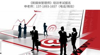 爆料网红领巾最新版介绍,时尚潮流与实用功能的完美结合