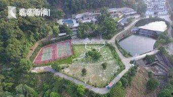 广东违建爆料最新消息,多起违建项目被查处，整治行动持续进行