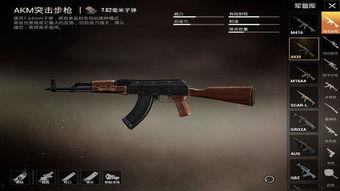 和平精英新武器最新爆料,神秘性能引发热议，玩家期待度飙升！