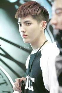 吴亦凡爆料最新,揭秘娱乐圈不为人知的秘密与真相