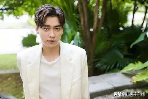 任嘉伦李易峰最新爆料,揭秘娱乐圈幕后真相与精彩瞬间