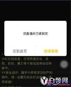 二哥爆料视频大全最新,揭秘娱乐圈幕后真相