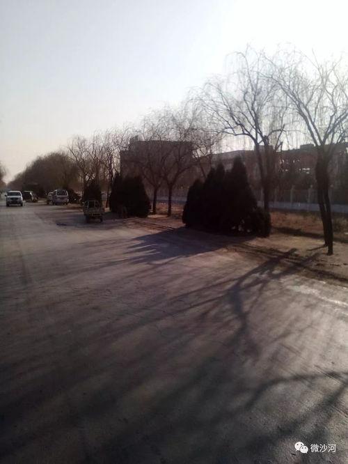 沙河村最新爆料,揭秘乡村发展背后的故事