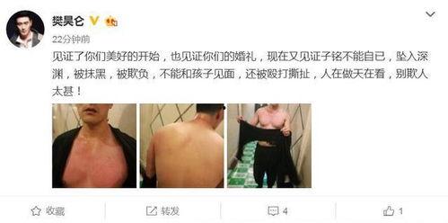 何子铭最新爆料新闻事件,揭秘最新热点事件背后真相